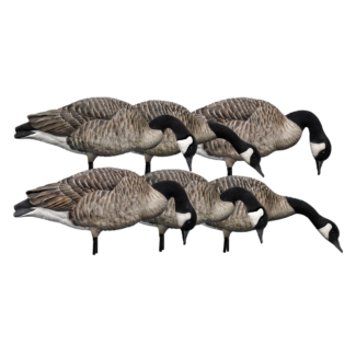AVIAN X HONKERS FEEDER GOOSE
