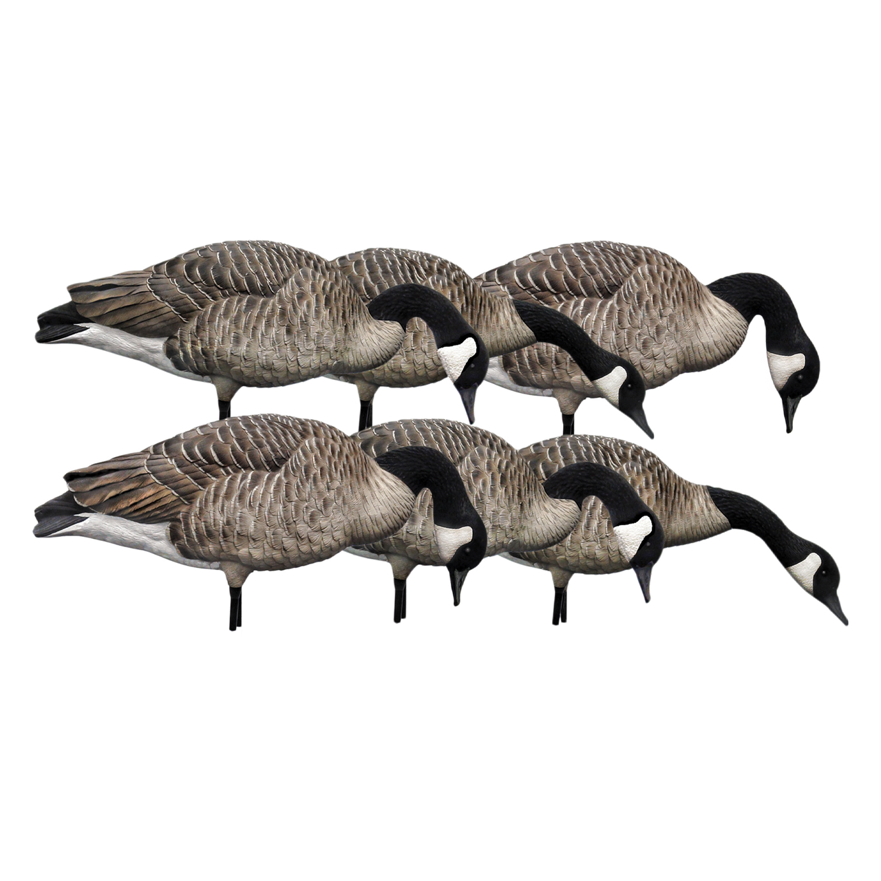 AVIAN X HONKERS FEEDER GOOSE