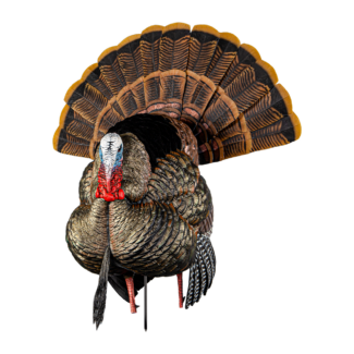 AVIAN X AVX HDR STRUTTER