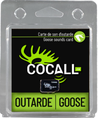 COCALL CARTE MICRO SON OUTARDE