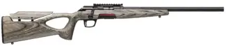 WINCHESTER XPERT THBHL TGT GRY SR NS 22LR