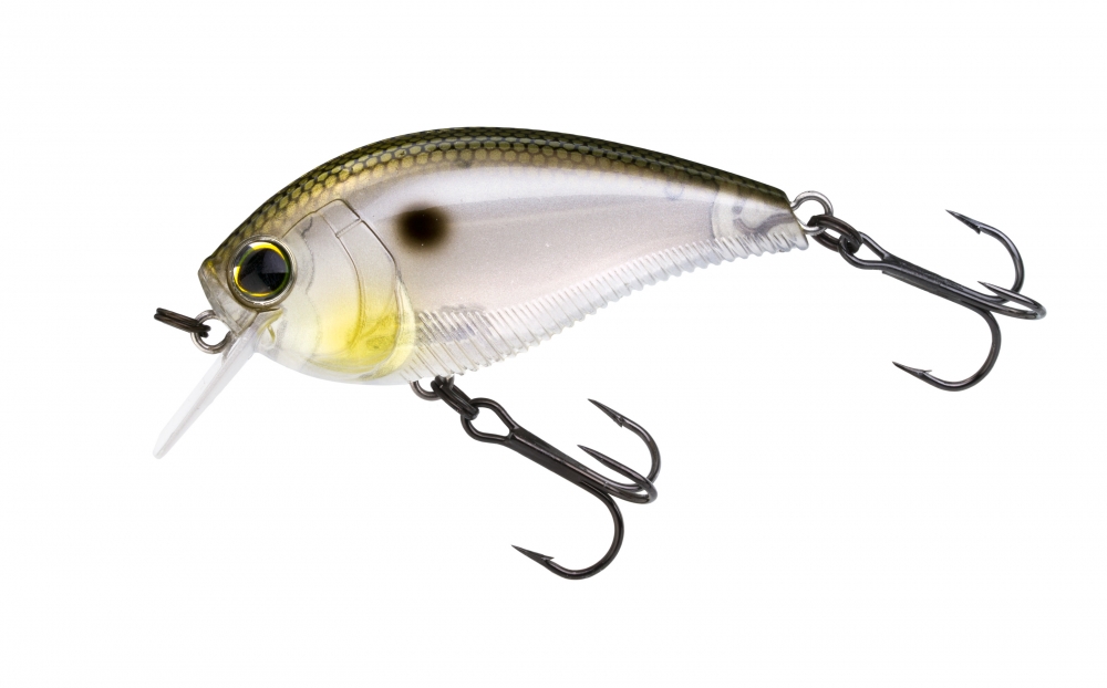 YO-ZURI 3DB CRANK 1.5 SQUAREBILL (F) 60mm 2-3/8po GIZZARD SH