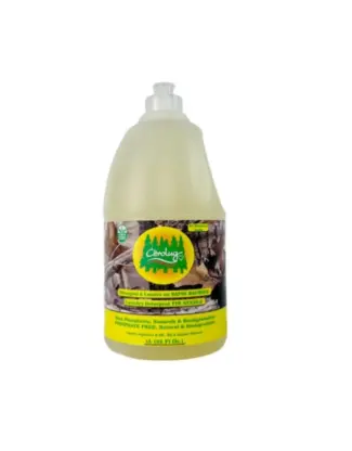 CITROBUG DETERGENT LESSIVE SAPIN