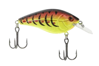 LIVINGSTON Primetyme¹ CB 1.5 Fire & Ice