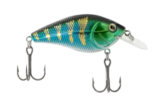LIVINGSTON Primetyme¹ CB 1.5 Blue Shiner