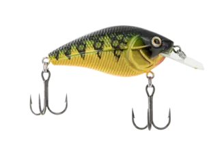 LIVINGSTON Primetyme¹ CB 1.5 Yellow Perch