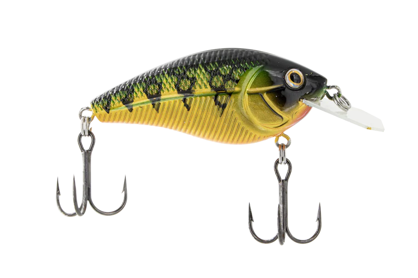 LIVINGSTON Primetyme¹ CB 1.5 Yellow Perch
