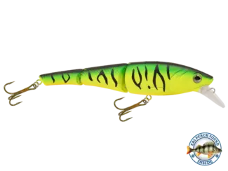 LIVINGSTON Head Hunter 8 Matte Tiger