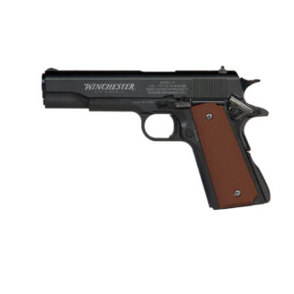 DAISY WINCHESTER MODEL 11 BB