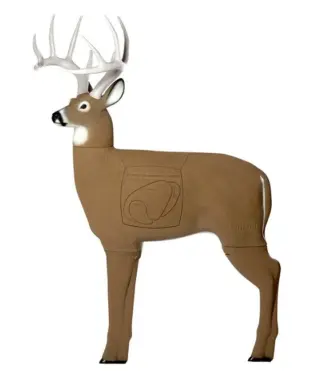 GLENDEL Crossbow Shooter Buck Target